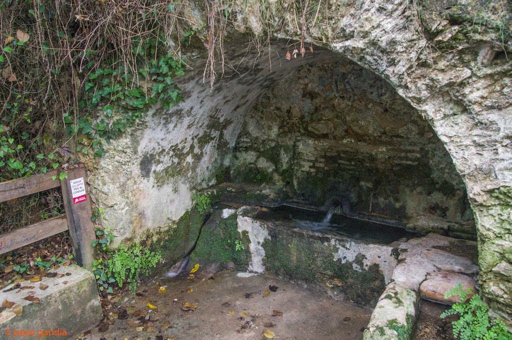 Fuente de La Purissima