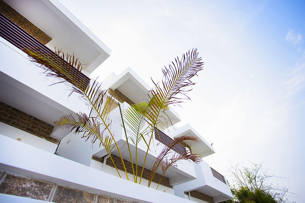 Daze Off Studio House