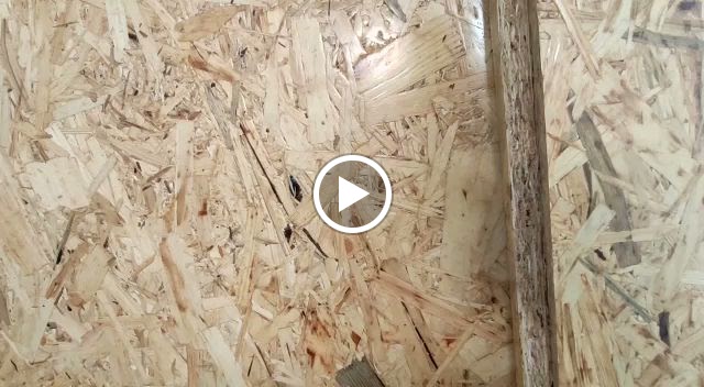 Academia mundoestudiante Majadahonda — Videos