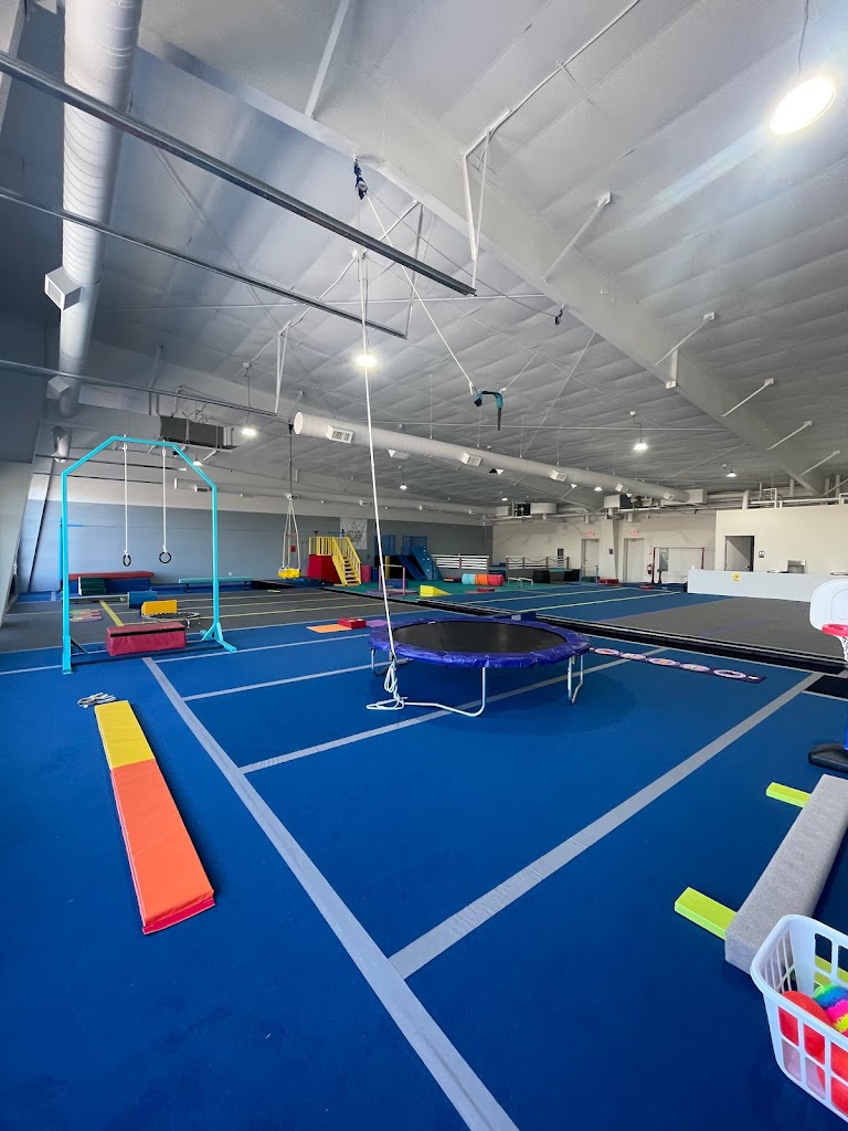  Arkansas Gold Gymnastics