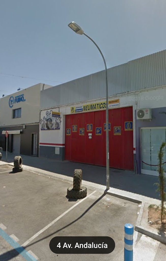 Neumaticos Borreguero