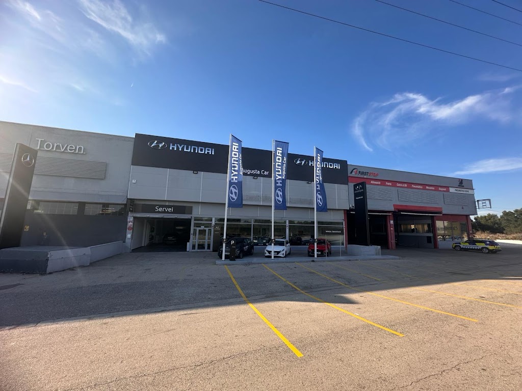 Hyundai Augusta Car El Vendrell