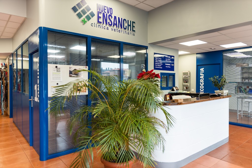 Clinica Veterinaria Nuevo Ensanche