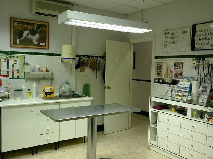 Clinica Veterinaria Andalucia