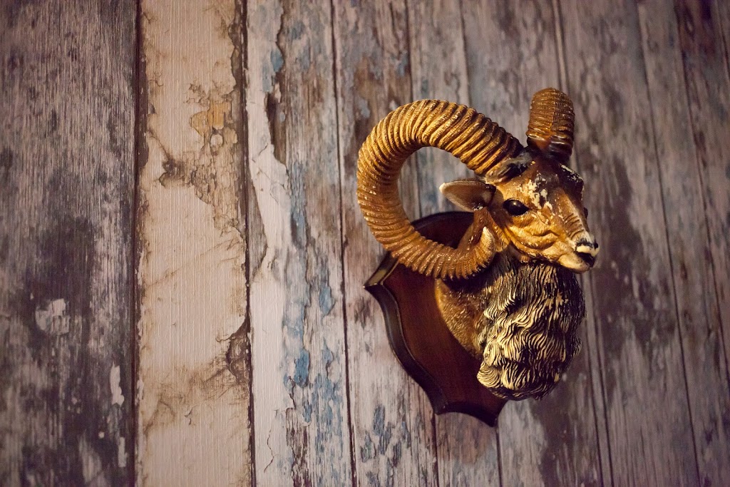 Evasion Rebelde (Divina & Embajador) Escape Room