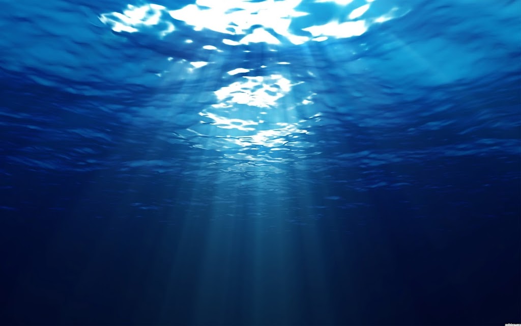 Ocean Web Design