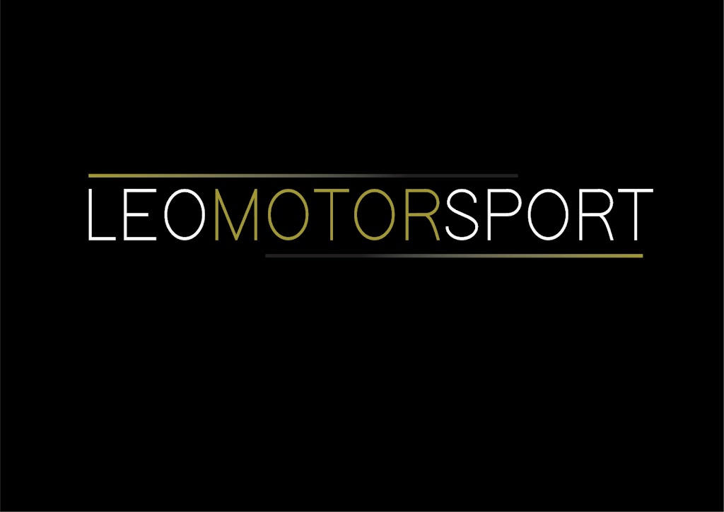 LEO MOTOR SPORT — Del propietario