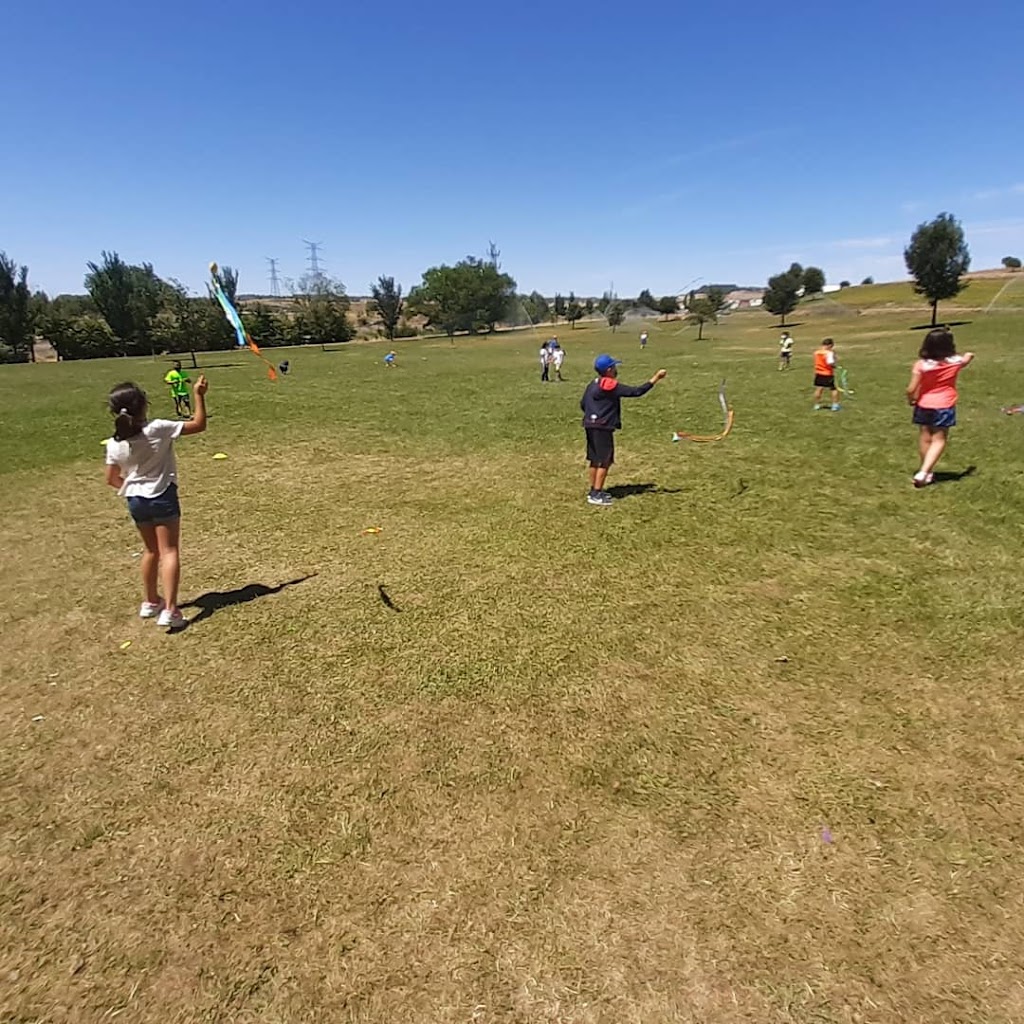 Diseno de Tiempo Libre S.L.