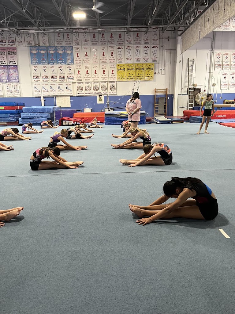  Gym-Kinetics Gymnastic School