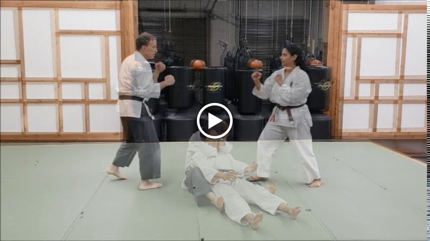  The Martial Arts Center Tucker / Atlanta