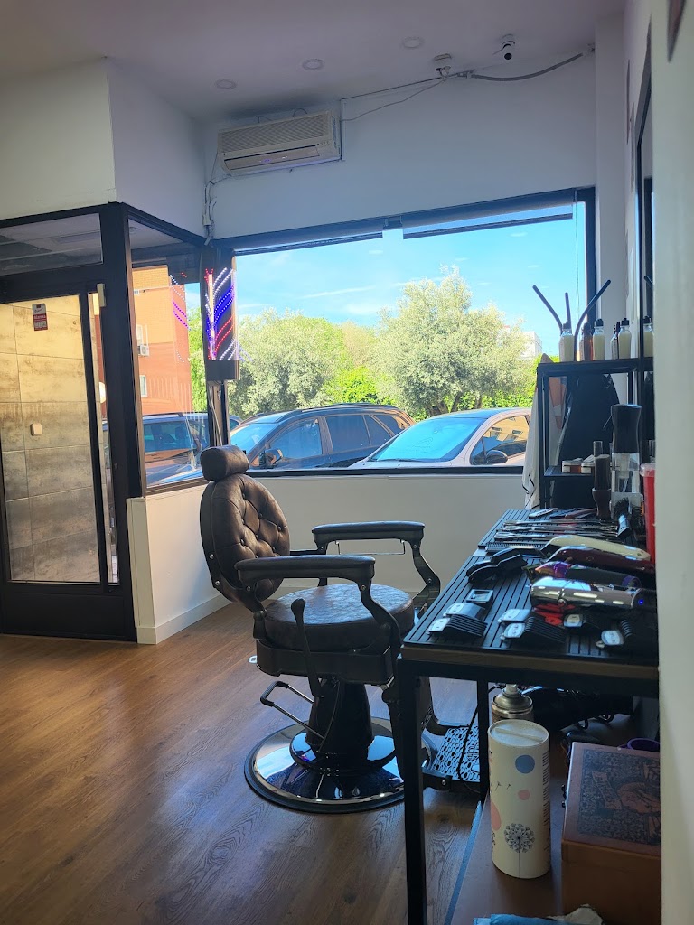 Hair crazy studio — Interior