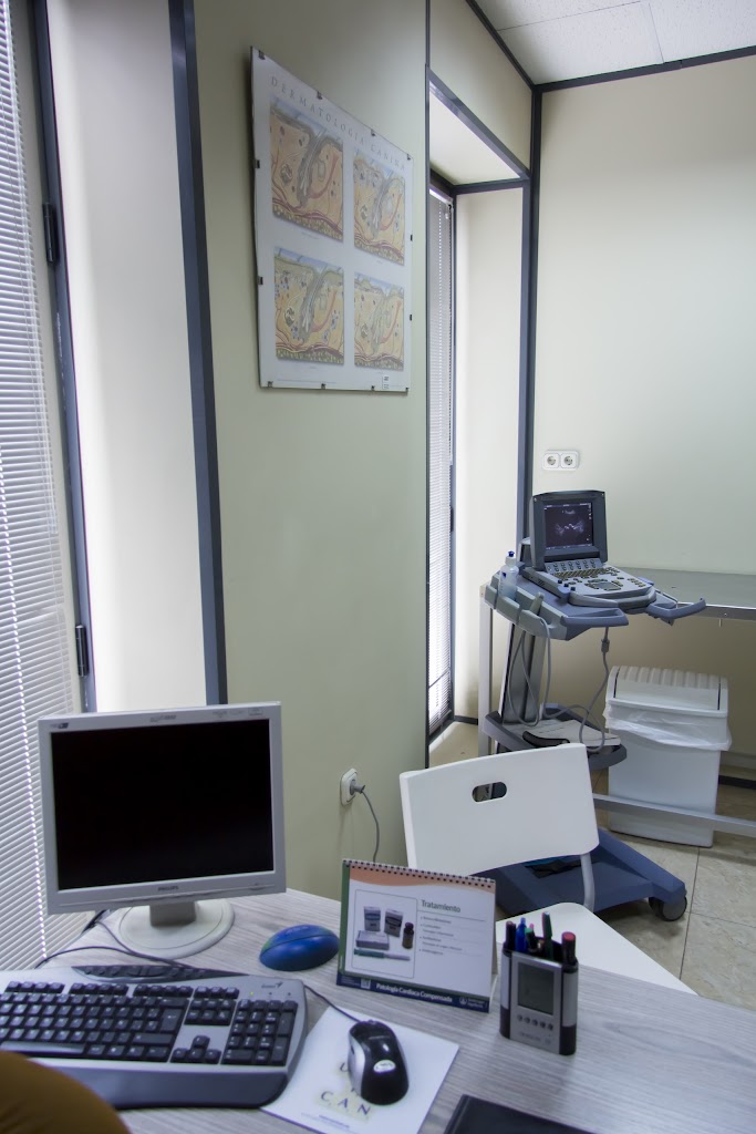 Veterinaris Borja | Urgencias 617324983 Especialistas Cirugia y Traumatologia — Del propietario