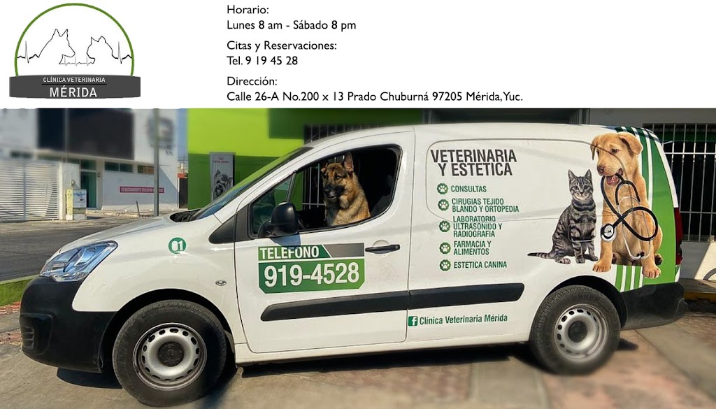 Clinica Veterinaria Merida