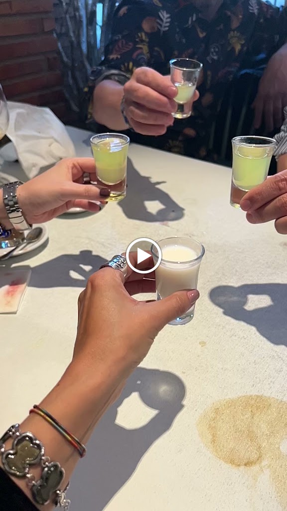 Restaurante El Cigro — Videos