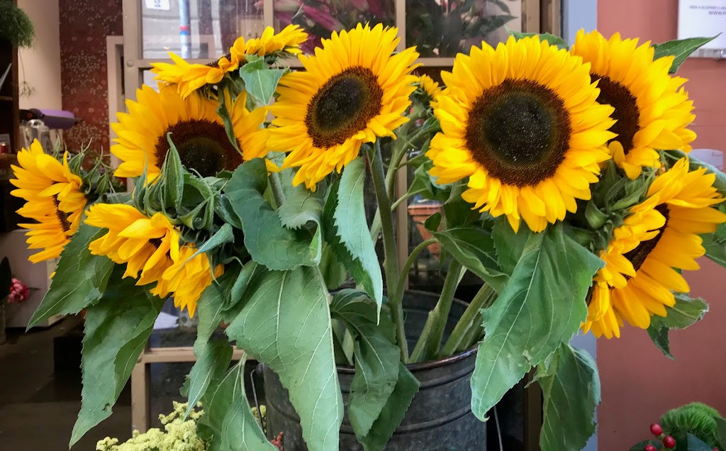  Blossom Yoga and Wellness