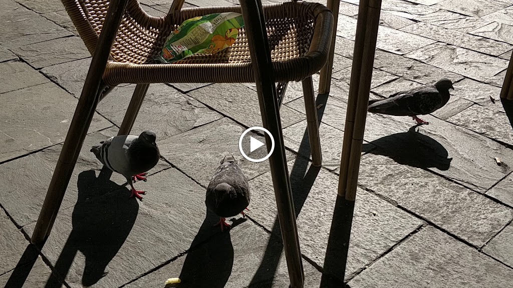 Cafe Restaurante Punal (Santiago de Compostela) — Videos