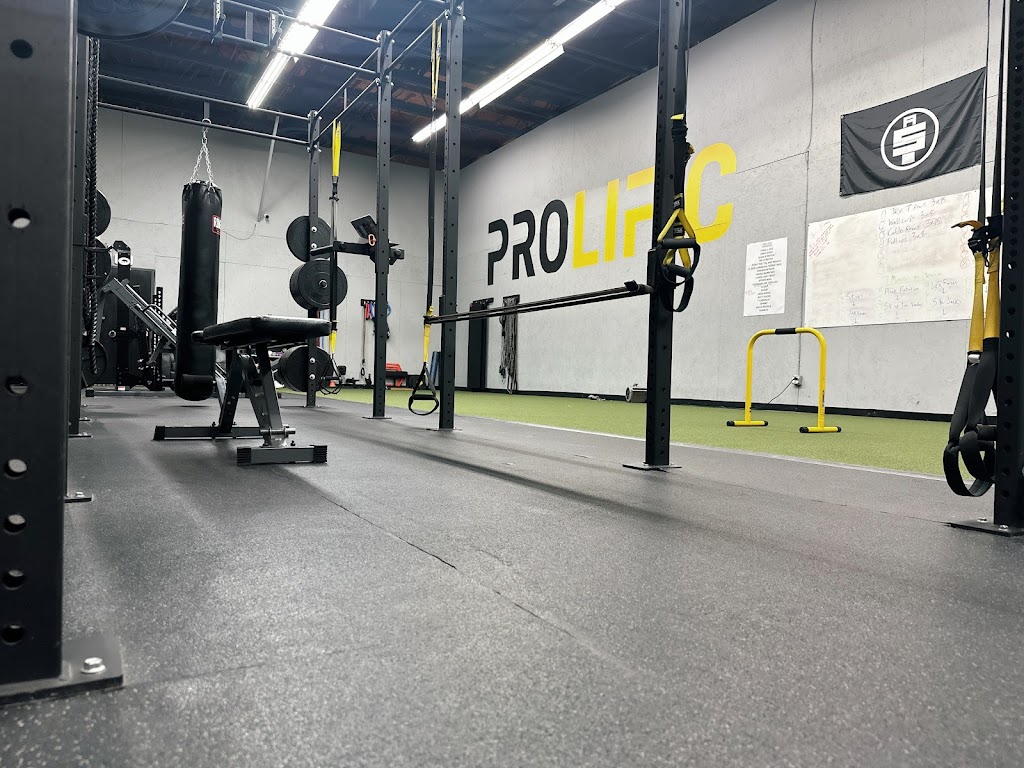  Prolific Performance