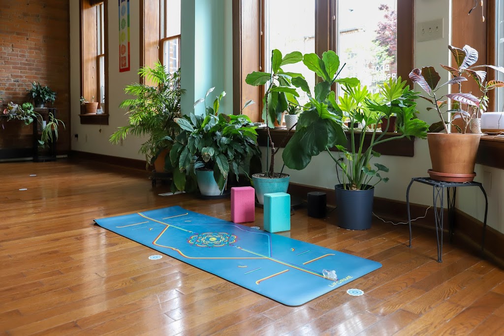  Island Life Yoga & Nutrition