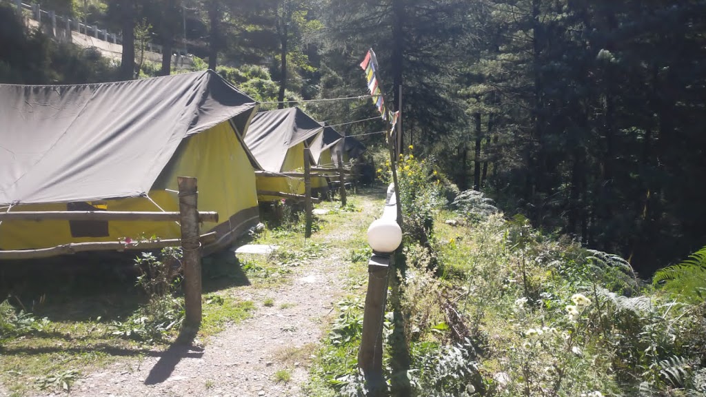 The nature bliss camp