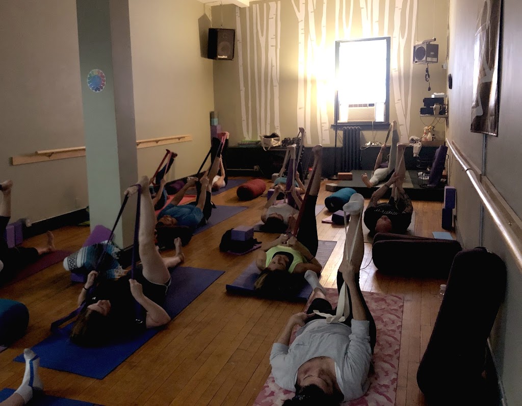  The Gymnasium Fitness & Nutrition