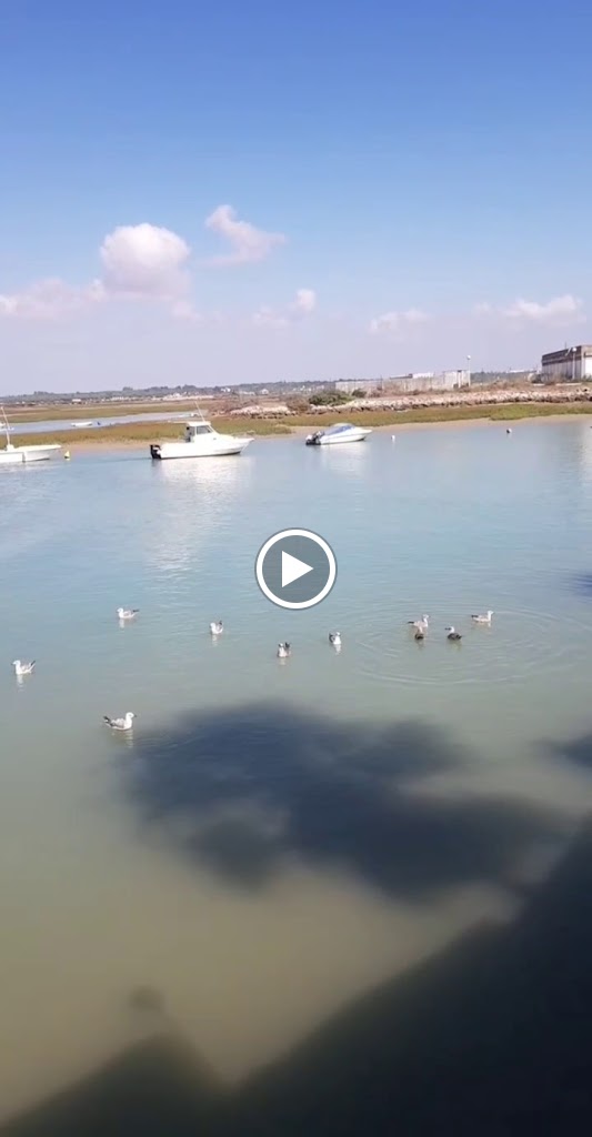 Flotante — Videos