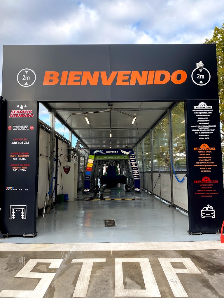 CENTRO DE LAVADO LAS GAUNAS — Del propietario