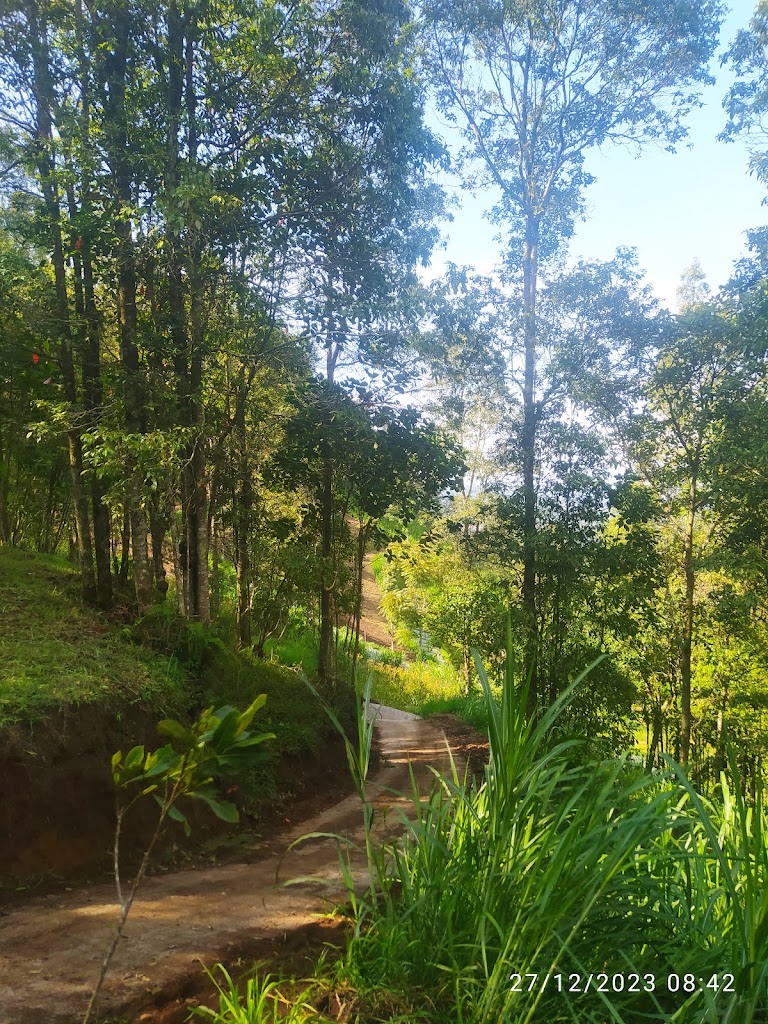 CAMPING GROUND DAN WISATA HUTAN PUSPA