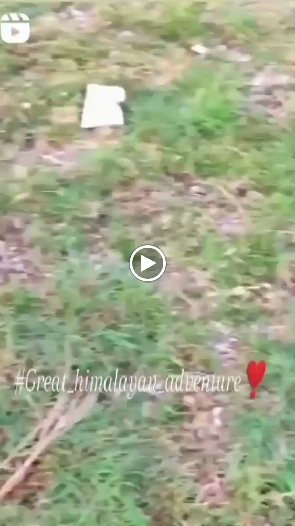 Videos