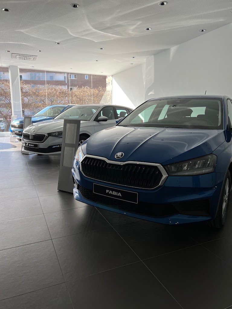Autopodium- Taller Oficial Skoda Lloret de Mar — Del propietario