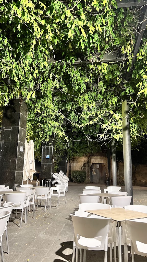 Taperia O Lano — Ambiente