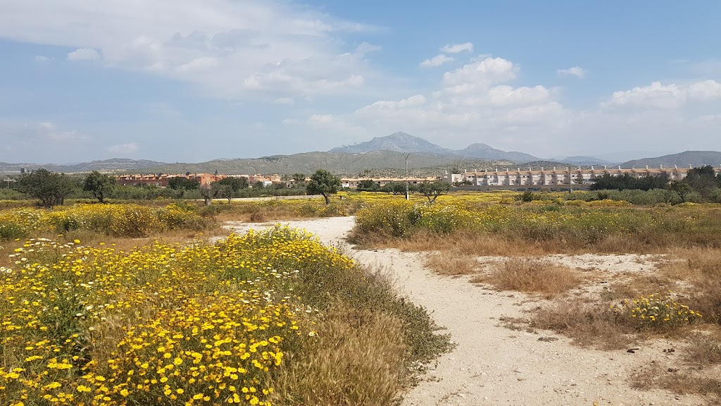 Parque Pocoyo Campello