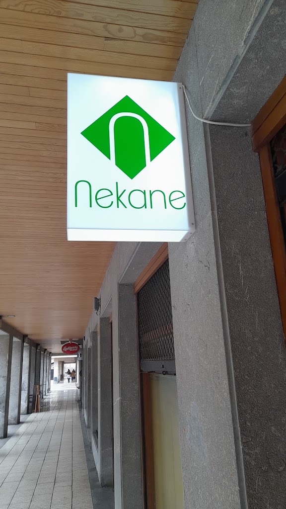 Academia Nekane — Del propietario