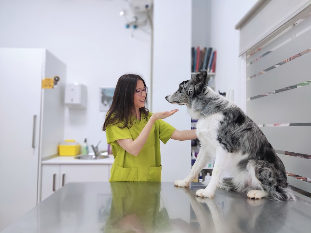 Clinica Veterinaria Arcadia