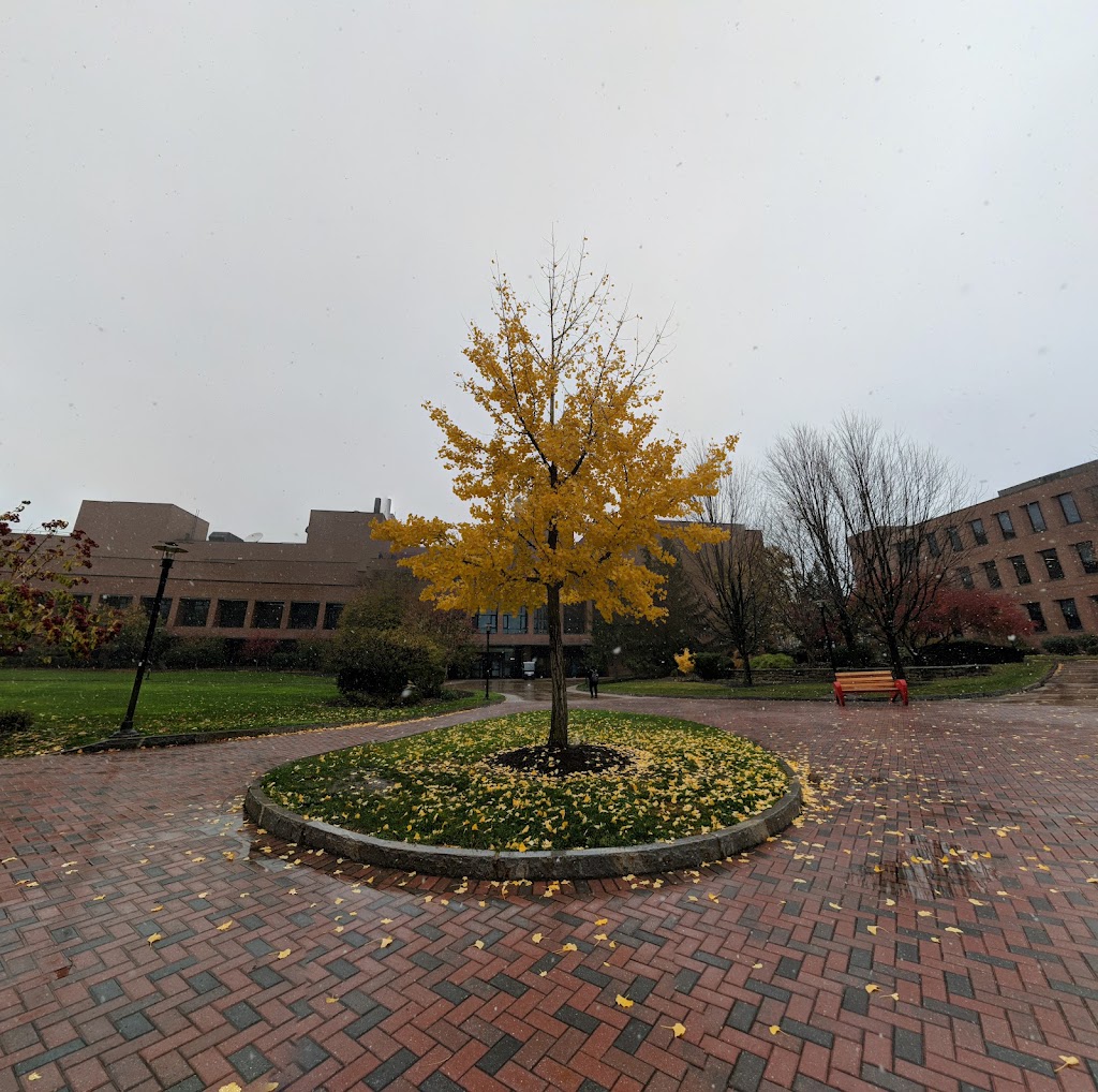 Rochester Institute of Technology