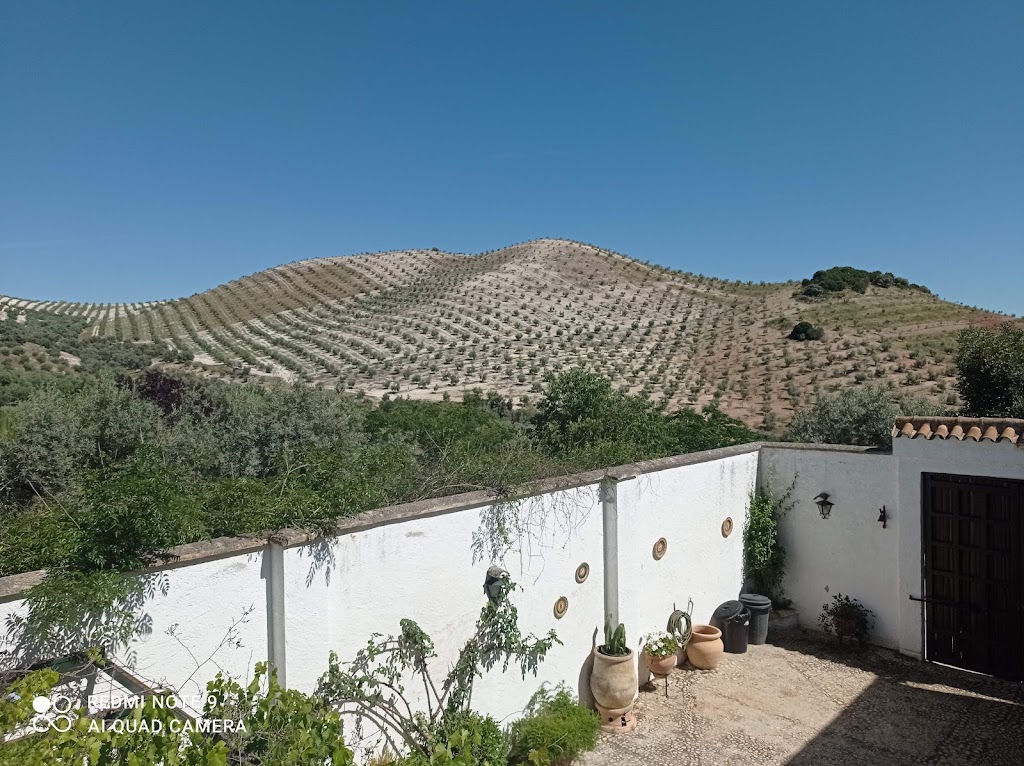 Cortijo El Romeral