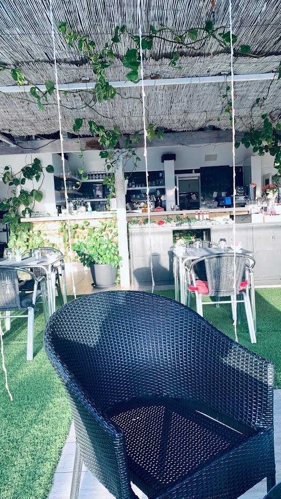 Sabor Canario Extra — Ambiente