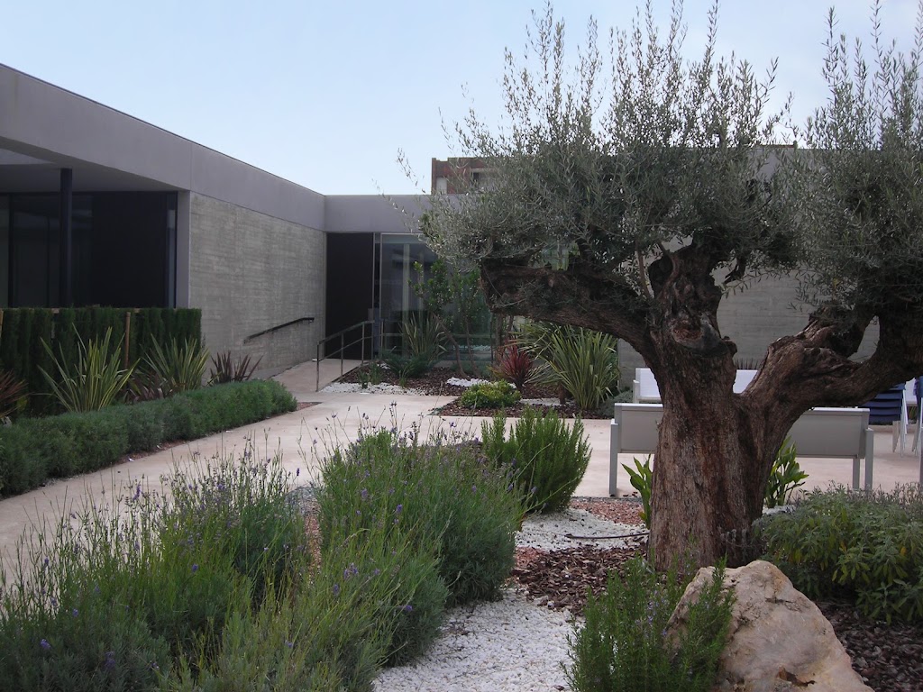 Novaedat Sagunto — Exterior