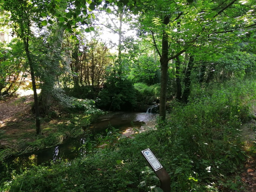 Ruta dels Molins de Calldetenes