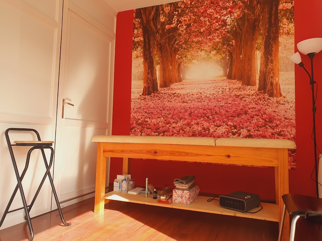 Acupuntura y Shiatsu Eva Garcia