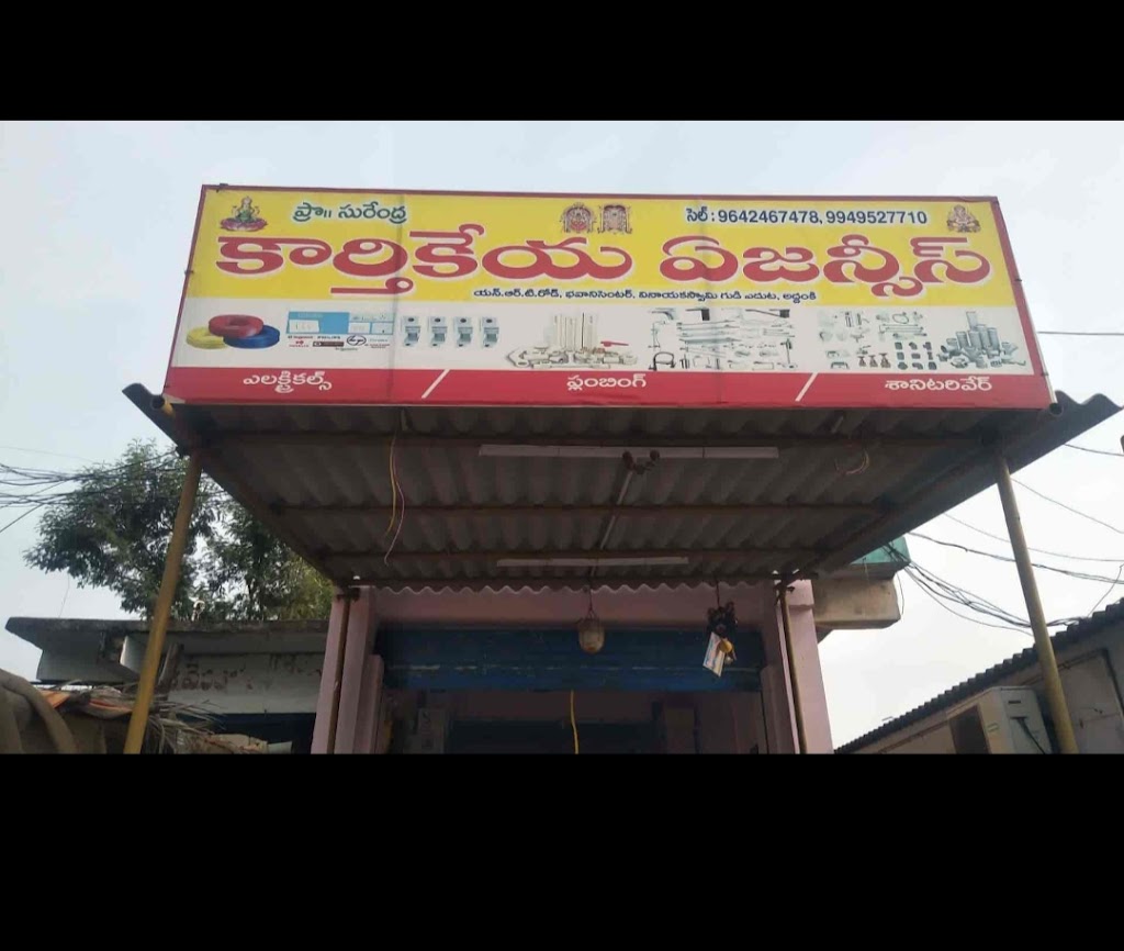V3 Biryani