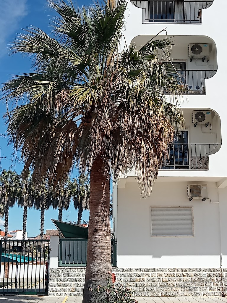 Servicio Obras, Urbanismo y Vvda. Ayto Isla Cristina.