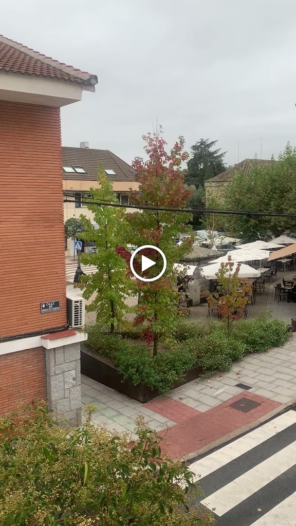 El Encuentro — Videos