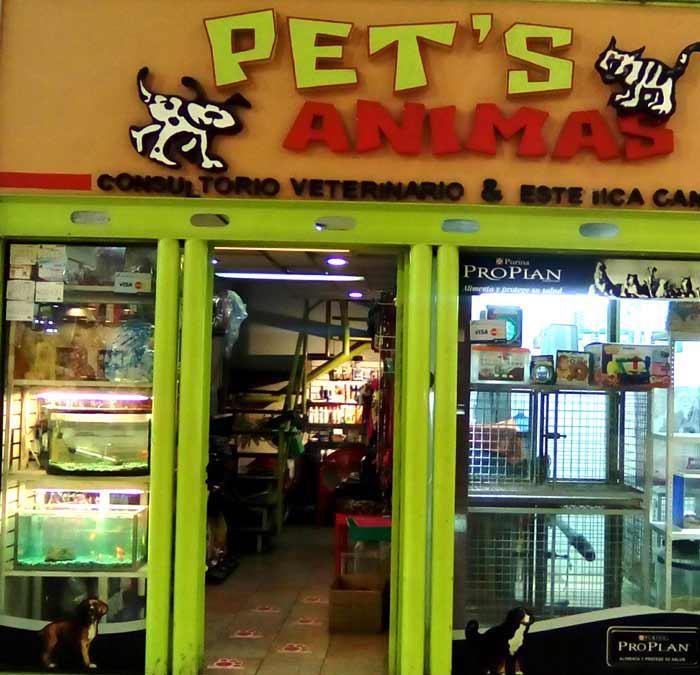 Veterinaria estética Canina Pets Animas en Xalapa-Enríquez