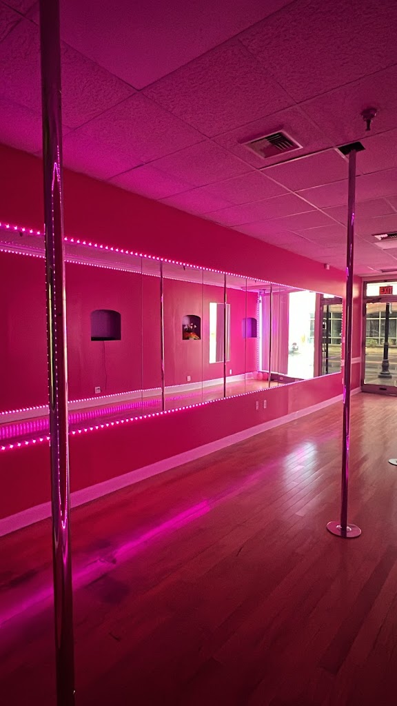 Pole Dance Paradise