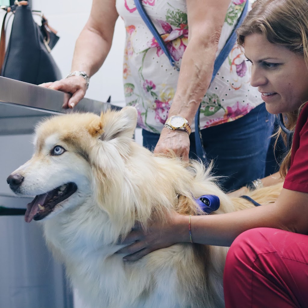 Centro Veterinario Fuenlabrada — Del propietario