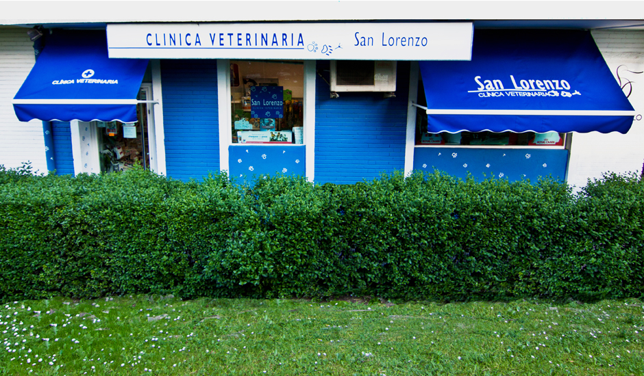 Clinica Veterinaria San Lorenzo