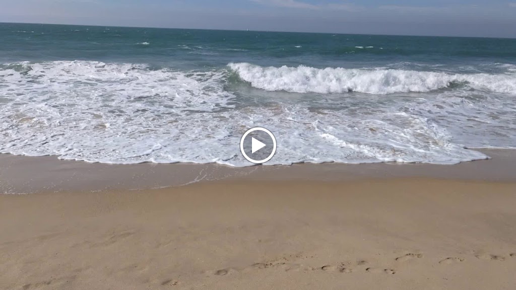 Videos
