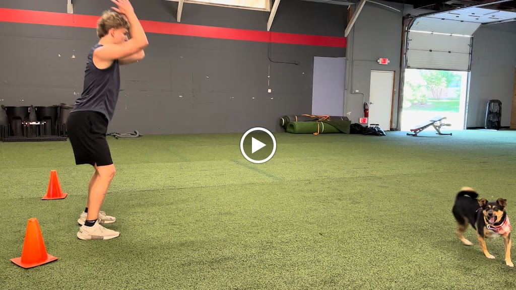  Body Mechanix Fitness