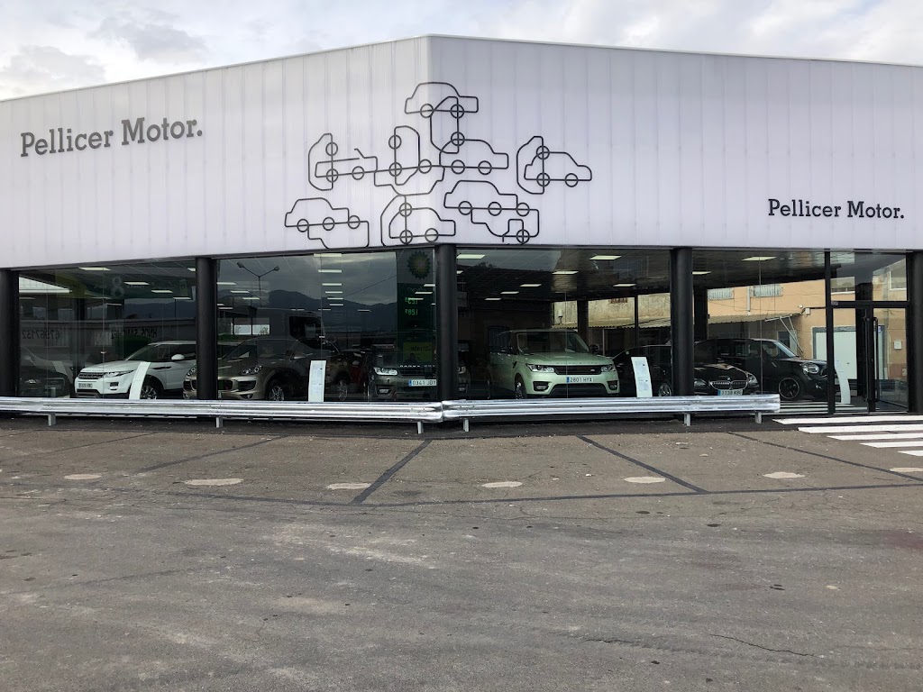 Pellicer Motor — Del propietario