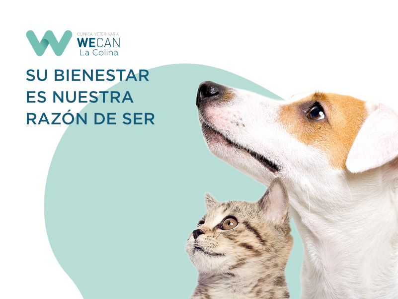 Clinica Veterinaria WECAN La Colina